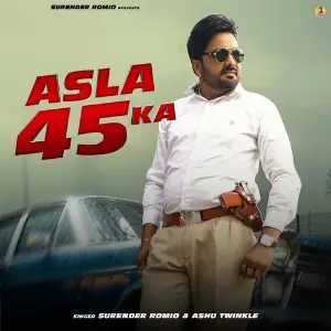 Asla 45 Ka image