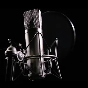 Vande Mataram (feat. Sana Aziz, Sourav Roy, Sharanya Natrajan, Mann Taneja  Anas Wahab) image