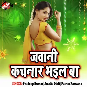 Jawani Kacnar Bhail Ba image