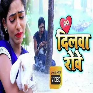 Dilwa Rowe image