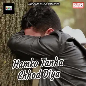 Hamko Tanha Chhod Diya image