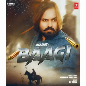 Baagi image