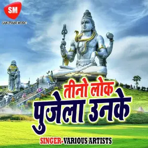 Tino Lok Pujela Unke image