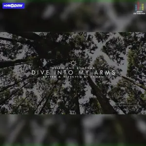 Dive Into My Arms image