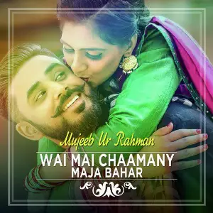 Wai Mai Chaamany Maja Bahar - Single image
