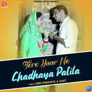 Tere Yaar Ne Chadhaya Patila - Single image