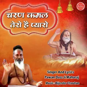Charan Kamal Tero Hai Pyaro image