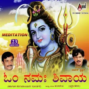 Om Namah Shivaya image