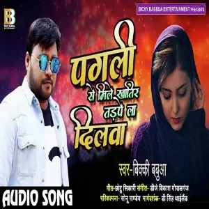 Pagli Se Mile Khatir Tadpela Dilwa image