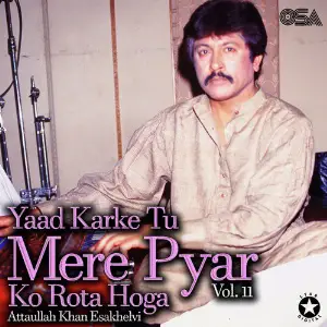 Yaad Karke Tu Mere Pyar Ko Rota Hoga, Vol. 11 image