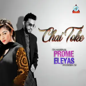 Chai Toke image