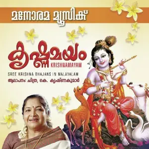 Krishnamayam image
