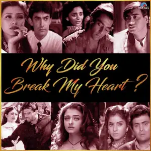 Why Did You Break My Heart image