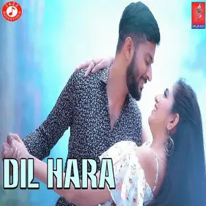 Dil Hara image