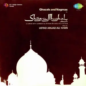 Shan E Mughal image