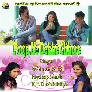 Pooja Ne Dekhe Chhore image