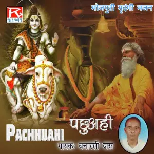 Pachhuahi image