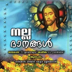 Nalla Dhaanangal image
