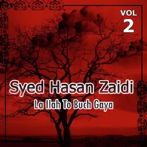 Syed Hasan Zaidi - Lailah to Buch Gaya, Vol. 2 image