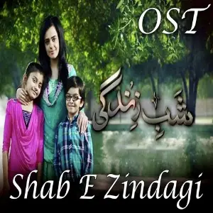 Shab E Zindagi (From Shab E Zindagi) image