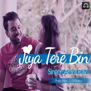 Jiya Tere Bin image