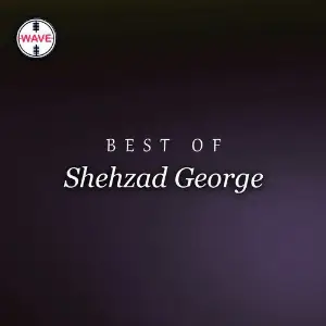 Best Of Shehzad George image