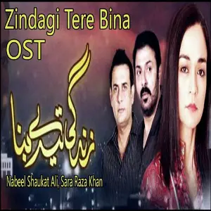 Yeh Mumkin To Nahi (From Bud Gumaan) Nabeel Shaukat Ali, Sara Raza Khan