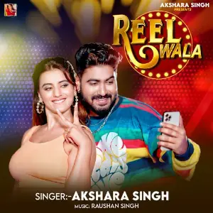 Reel Wala image
