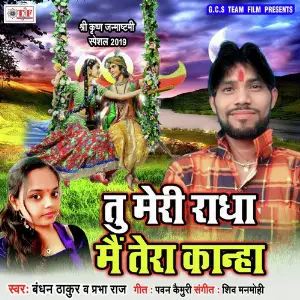 Tu Meri Radha Mai Tera Kanha image