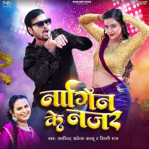 Nagin Ke Najar image