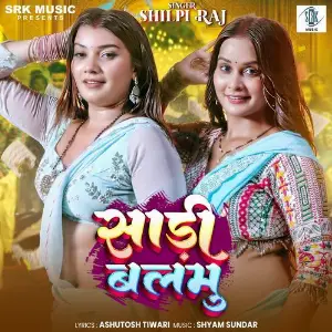 Saari Balamu image