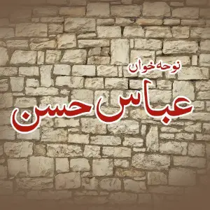 Hasan Abbas image