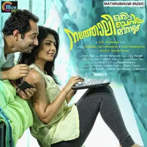 Natholi Oru Cheriya Meenalla image