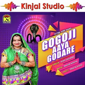 Gogaji Aaya Godare image