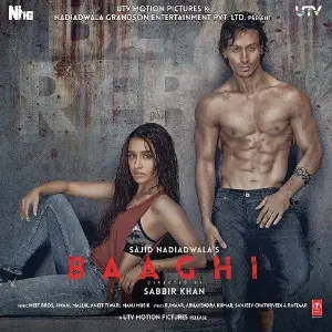 Baaghi image