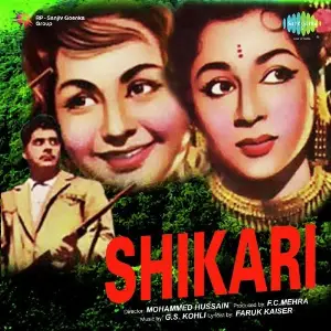 Shikari image