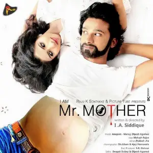 I Am Mr. Mother image