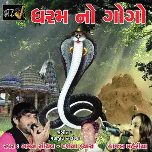 Dharam No Gogo image