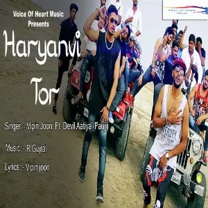 Haryanvi Tor image