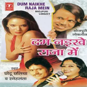 Dum Naikhe Raja Mein image