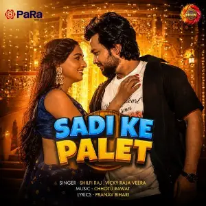 Sadi Ke Palet image