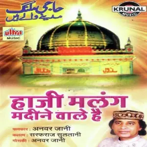 Haji Malang Madine Wale Hai image