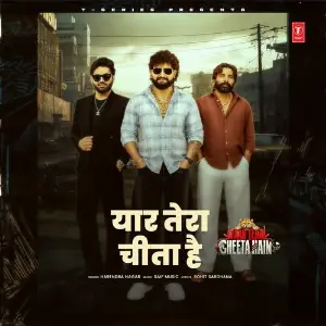 Yaar Tera Cheeta Hai image