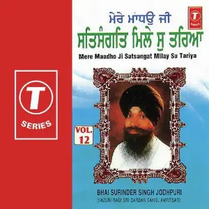 Mere Maadho Ji Satsangat Milay Su Tariya (Vol. 12) image