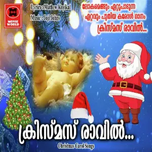 Christmas Ravil Annu image