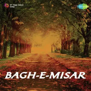 Bagh-E-Misar image