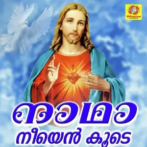 Nadha Neeyen Koode image