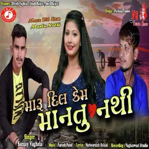 Lila Pila Neja Ramapirna Sanjay Vaghela