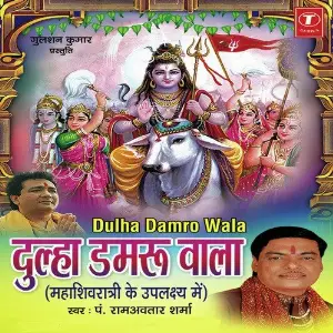 Dulha Damroo Wala image