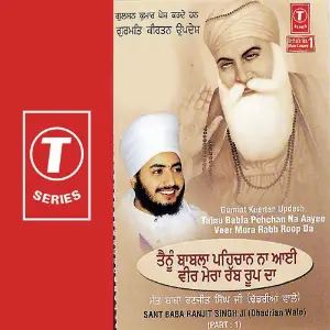 Tainu Babal Pehchan Na Aayee Veer Mera Rabb Roop Da (Part 1) image